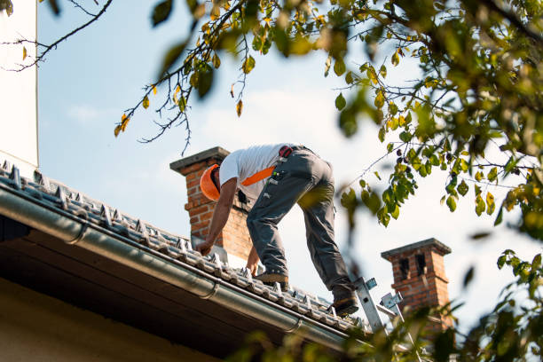 Best Roof Waterproofing Services  in Kent City, MI