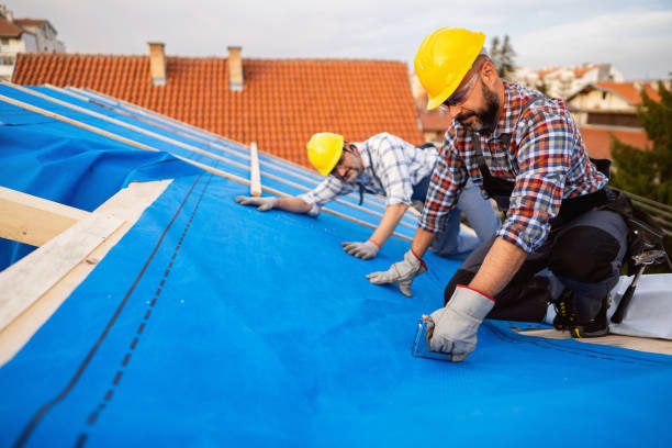 Best Roof Repair Services  in Kent City, MI